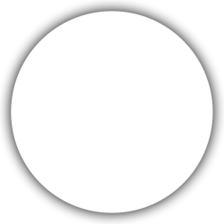 Custom Stickers - Any Shapes